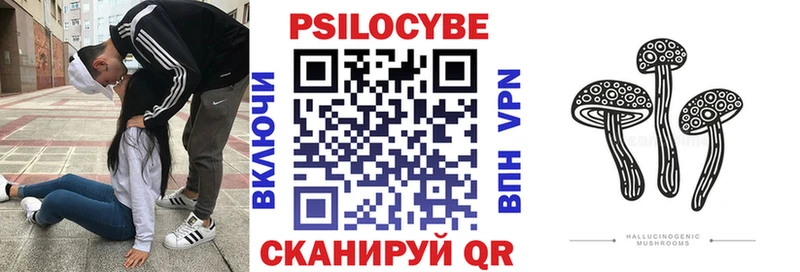 купить закладку  Собинка  Псилоцибиновые грибы Psilocybe 